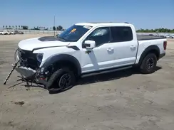 1FTFW1RJ7RFB82767 2024 FORD F-150