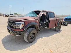1FTFW1RJ9RFB43131 2024 FORD F-150