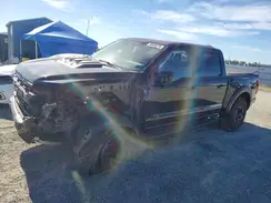 1FTFW1RJXRFA24441 2024 FORD F-150