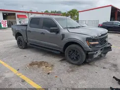 1FTFW2L50RFA35319 2024 FORD F-150