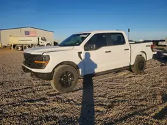 1FTFW2L52SKE26274 2025 FORD F-150