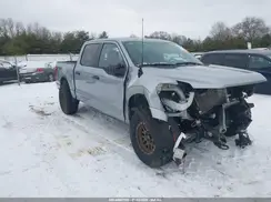 1FTFW2L53RKF46501 2024 FORD F-150