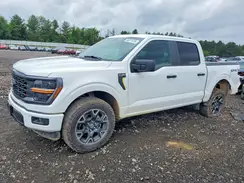 1FTFW2L57RKD44566 2024 FORD F-150