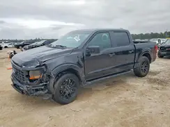 1FTFW2L5XRKE19213 2024 FORD F-150