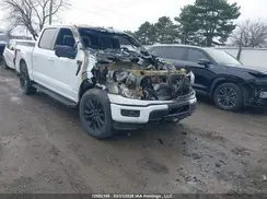 1FTFW3L50RFB03799 2024 FORD F-150