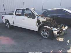 1FTFW3L50RKE97828 2024 FORD F-150