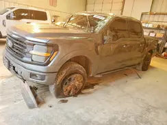 1FTFW3L50SKD45375 2025 FORD F-150