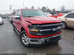1FTFW3L51RFA33486 2024 FORD F-150
