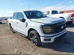 1FTFW3L51RFC23885 2024 FORD F-150