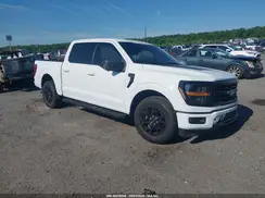 1FTFW3L51RKD90321 2024 FORD F-150
