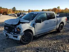 1FTFW3L51RKE37881 2024 FORD F-150