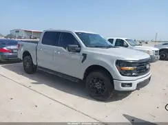 1FTFW3L51RKF53873 2024 FORD F-150