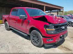 1FTFW3L51RKF56613 2024 FORD F-150