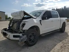 1FTFW3L52RKD26630 2024 FORD F-150