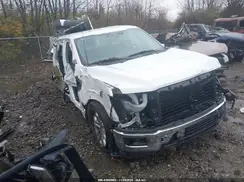 1FTFW3L52RKD66836 2024 FORD F-150