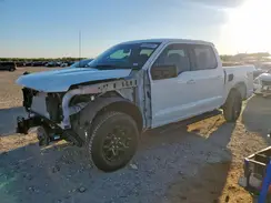 1FTFW3L52SKE73732 2025 FORD F-150