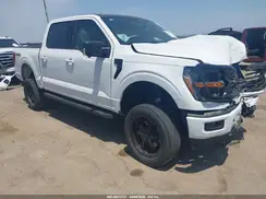 1FTFW3L53RKD31139 2024 FORD F-150