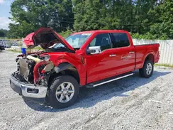 1FTFW3L53RKD91485 2024 FORD F-150
