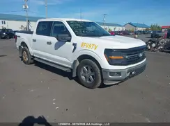 1FTFW3L53RKE05577 2024 FORD F-150