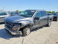1FTFW3L53TKD06135 2025 FORD F-150