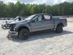 1FTFW3L54RKD25009 2024 FORD F-150