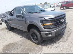 1FTFW3L54RKD59192 2024 FORD F-150