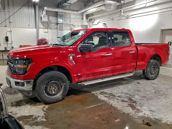 1FTFW3L54RKE21481 2024 FORD F-150 - Image 1