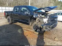 1FTFW3L54SFB06131 2025 FORD F-150