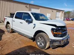 1FTFW3L55RKD66149 2024 FORD F-150
