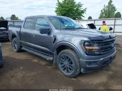 1FTFW3L56RFA02914 2024 FORD F-150