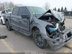 1FTFW3L56RFA13184 2024 FORD F-150