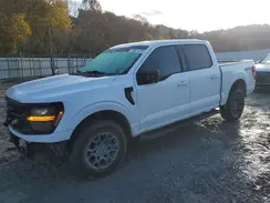 1FTFW3L56RKD97202 2024 FORD F-150