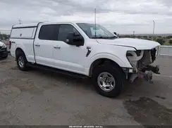 1FTFW3L56RKE01216 2024 FORD F-150