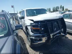 1FTFW3L56RKE52795 2024 FORD F-150