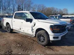 1FTFW3L59RKD24390 2024 FORD F-150
