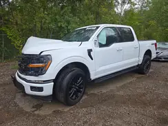 1FTFW3L5XRFB84469 2024 FORD F-150