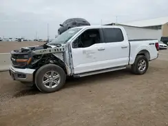 1FTFW3L5XRKD06593 2024 FORD F-150