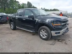 1FTFW3L5XRKD69189 2024 FORD F-150