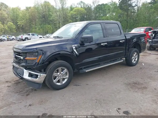1FTFW3L5XRKD69189 2024 FORD F-150 - Image 2