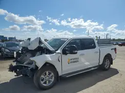 1FTFW3L5XRKD72951 2024 FORD F-150