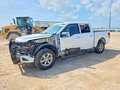 1FTFW3L5XRKF40216 2024 FORD F-150