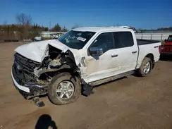 1FTFW3L5XSKF96002 2025 FORD F-150