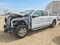 1FTFW3L80RFA46692 2024 FORD F-150
