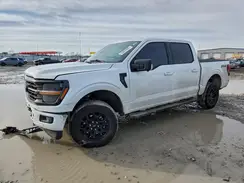 1FTFW3L80RKF47153 2024 FORD F-150