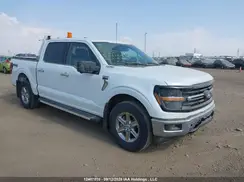 1FTFW3L81RFA06220 2024 FORD F-150