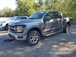 1FTFW3L81RKD61783 2024 FORD F-150