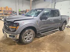 1FTFW3L81RKD63808 2024 FORD F-150