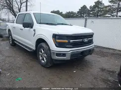 1FTFW3L81RKD73299 2024 FORD F-150