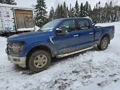 1FTFW3L81SKD39868 2025 FORD F-150