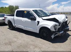 1FTFW3L82RFA07666 2024 FORD F-150